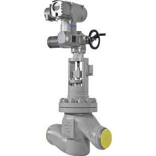 Control Valves acc. to EN1349 / EN60534 [VENR]